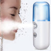 Sangeetic™ Mini Nano Facial Sprayer